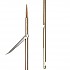 [해외]PICASSO 없다 Gold Spring Steel Tricuspid 라운드 Notch Spear 7.5 Mm 10602711 Golden