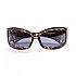 [해외]OCEAN SUNGLASSES Fuerteventura 편광 선글라스 14136179282 Brown