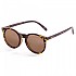 [해외]OCEAN SUNGLASSES Lizard 편광 선글라스 14136179153 Demy Brown / Brown