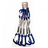 [해외]QI´ROC 스냅 후크 Elektra Recto Clip+Curvo Clip+Expr?s Dyneema 12x170 mm+미니 5 단위 4137394198 Blue