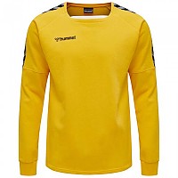 [해외]험멜 Authentic Training 후드티 3137808894 Sports Yellow