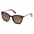 [해외]GUESS 색안경 GU7503 137867783 Dark Havana