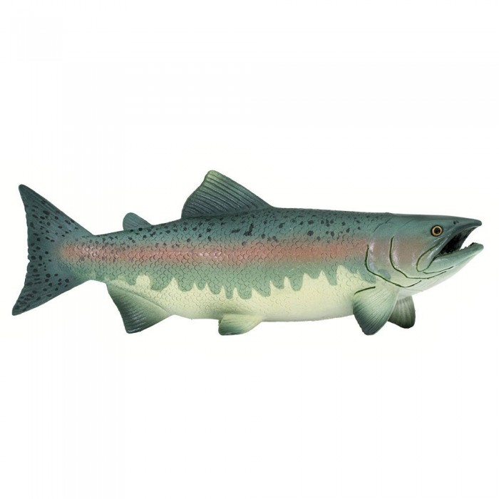 [해외]사파리엘티디 피겨 Salmon 15137554091 Multicolor