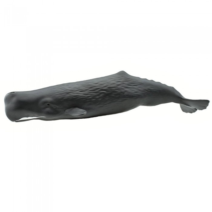 [해외]사파리엘티디 피겨 Sperm Whale 15137554092 Dark Grey