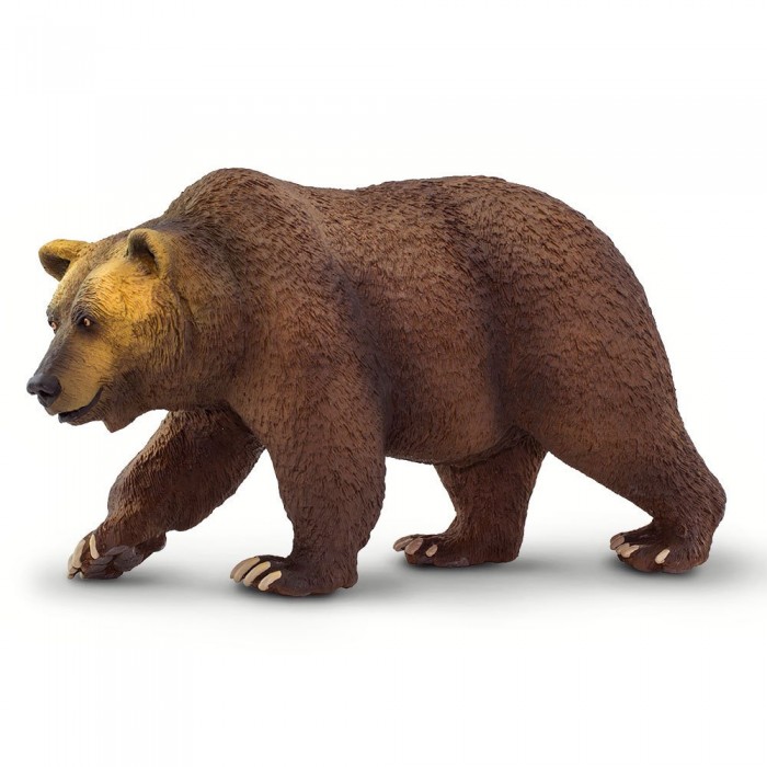 [해외]사파리엘티디 곰 그림 Grizzly 15137554133 Brown