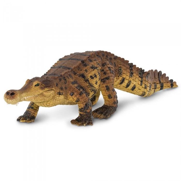 [해외]사파리엘티디 피겨 Sarcosuchus 15137554166 Brown