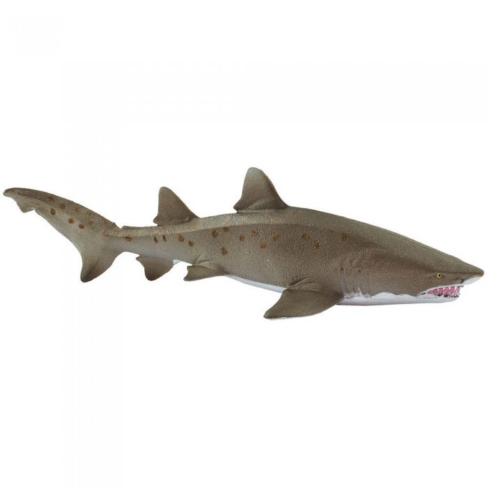 [해외]사파리엘티디 피겨 Sand Tiger Shark 15137554175 Grey