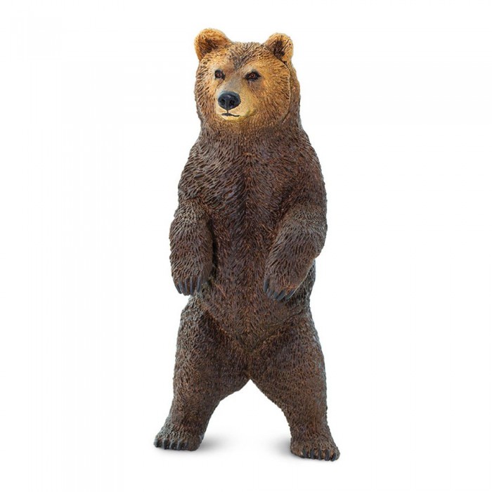 [해외]사파리엘티디 곰 서있는 그림 Grizzly 15137554375 Brown