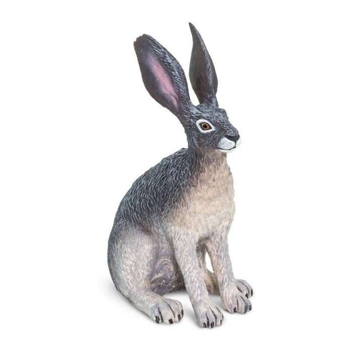 [해외]사파리엘티디 미국 사람 Sert 토끼 그림 De 15137554378 Grey