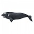 [해외]사파리엘티디 피겨 Right Whale 15137554402 Black