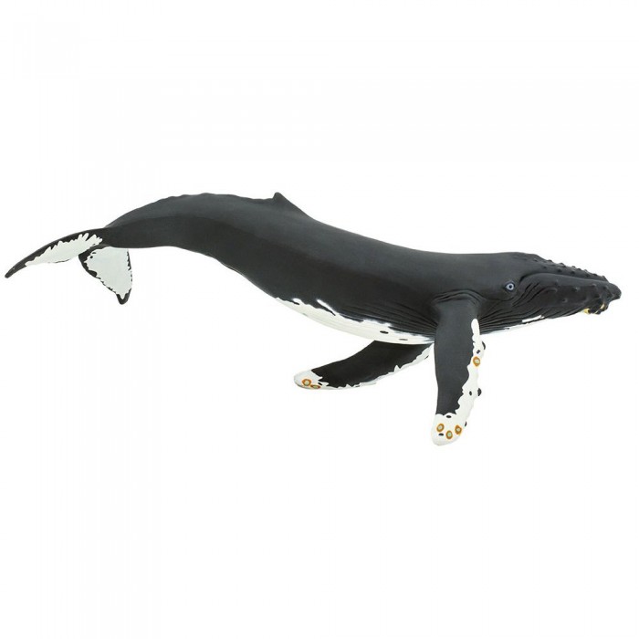 [해외]사파리엘티디 피겨 Humpback Whale 15137554407 Black