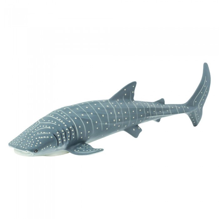 [해외]사파리엘티디 피겨 Whale Shark 15137554410 Grey
