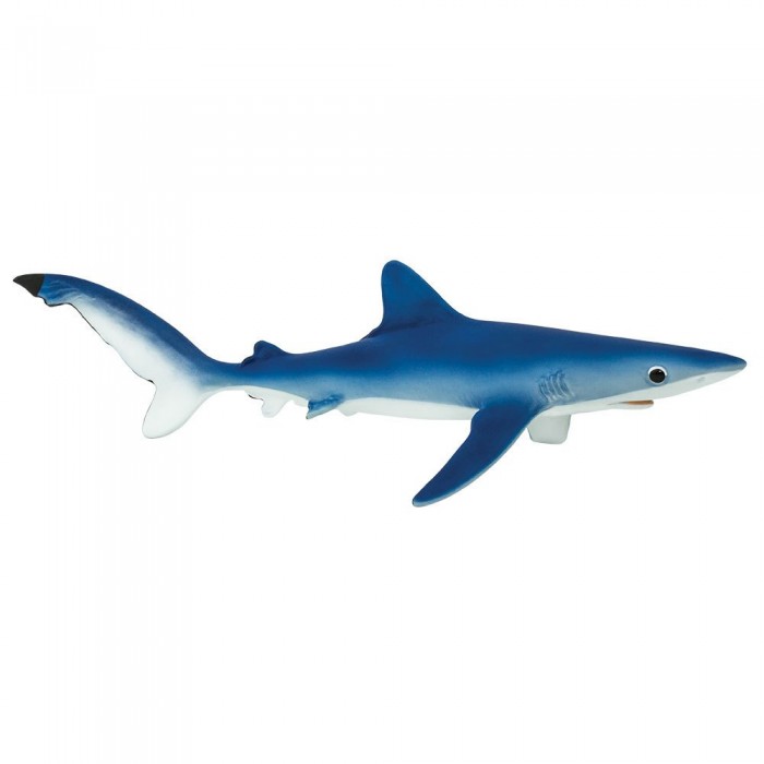 [해외]사파리엘티디 피겨 Blue Shark 15137554417 Blue / White