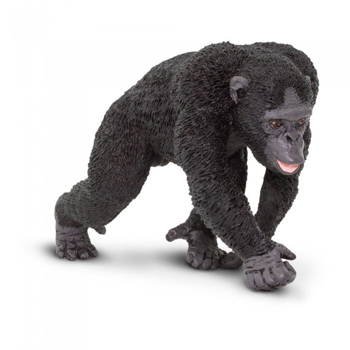 [해외]사파리엘티디 침팬지 걷는 그림 15137554447 Black