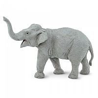 [해외]사파리엘티디 야생 동물 아시아 코끼리 그림 15137554470 Grey