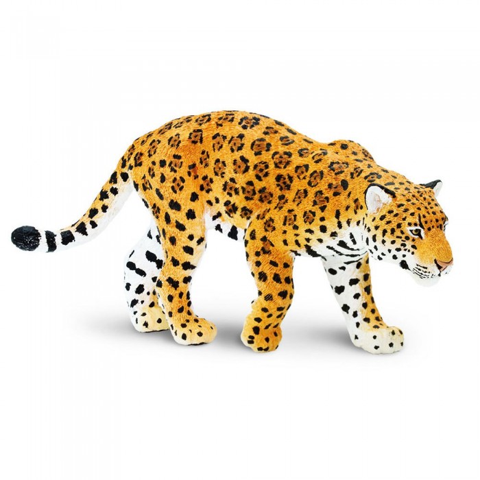 [해외]사파리엘티디 야생 동물 그림 Jaguar 15137554472 Brown / Orange