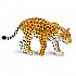 [해외]사파리엘티디 야생 동물 그림 Jaguar 15137554472 Brown / Orange