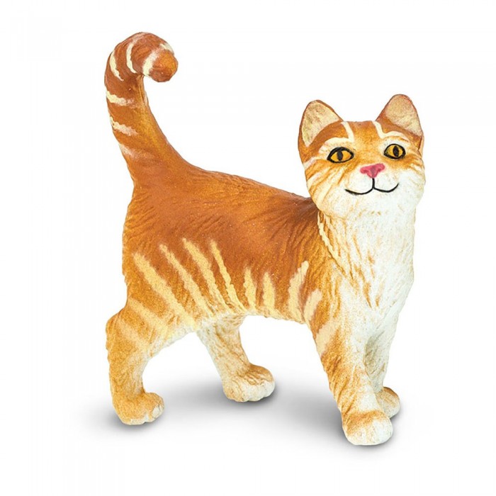[해외]사파리엘티디 얼룩 무늬 고양이 그림 15137554513 Orange / Beige