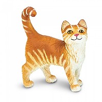 [해외]사파리엘티디 얼룩 무늬 고양이 그림 15137554513 Orange / Beige