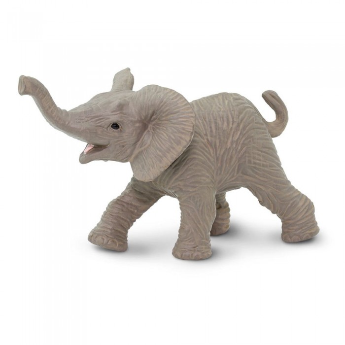 [해외]사파리엘티디 아기 아프리카 코끼리 그림 15137554524 Grey