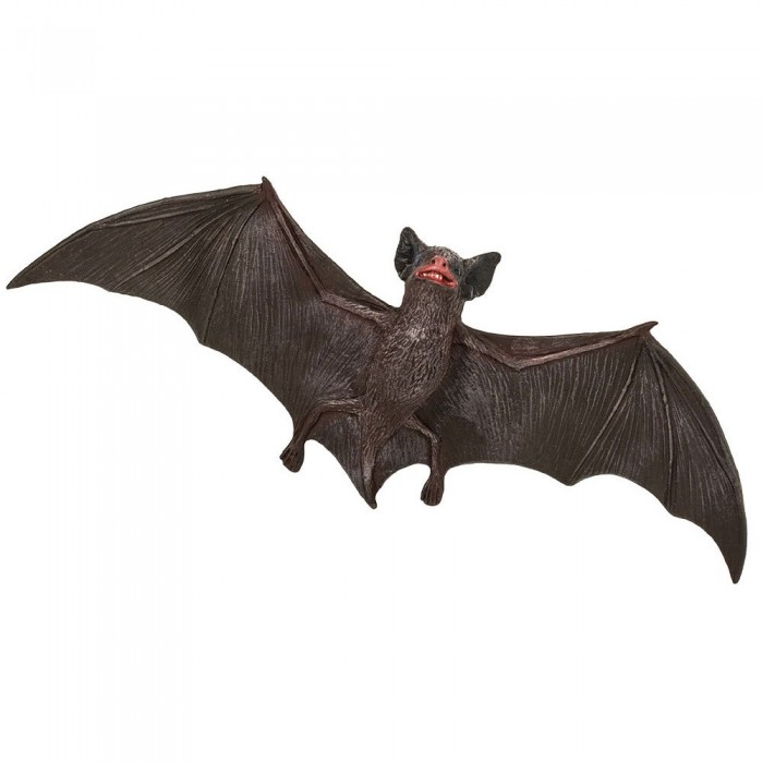 [해외]사파리엘티디 갈색 박쥐 그림 15137554596 Brown