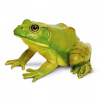 [해외]사파리엘티디 미국 황소 개구리 그림 15137554671 Green