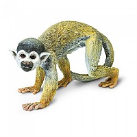 [해외]사파리엘티디 다람쥐 원숭이 그림 15137554680 Brown / Beige