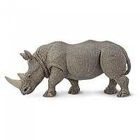 [해외]사파리엘티디 흰 코뿔소 야생 동물 그림 15137554684 Grey