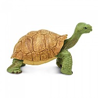 [해외]사파리엘티디 거대한 거북이 그림 15137554700 Brown / Green