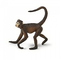 [해외]사파리엘티디 거미 원숭이 그림 15137554784 Brown