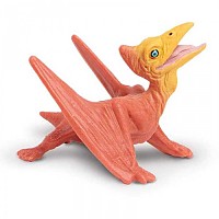 [해외]사파리엘티디 아기 그림 Pteranodon 15137554846 Pink