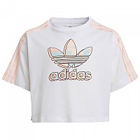 [해외]아디다스 ORIGINALS 반팔 티셔츠 Crop 15138115252 White