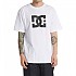 [해외]DC슈즈 DC Star 반팔 티셔츠 138152659 White
