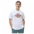 [해외]디키즈 Icon 로고 반팔 티셔츠 14138164398 White