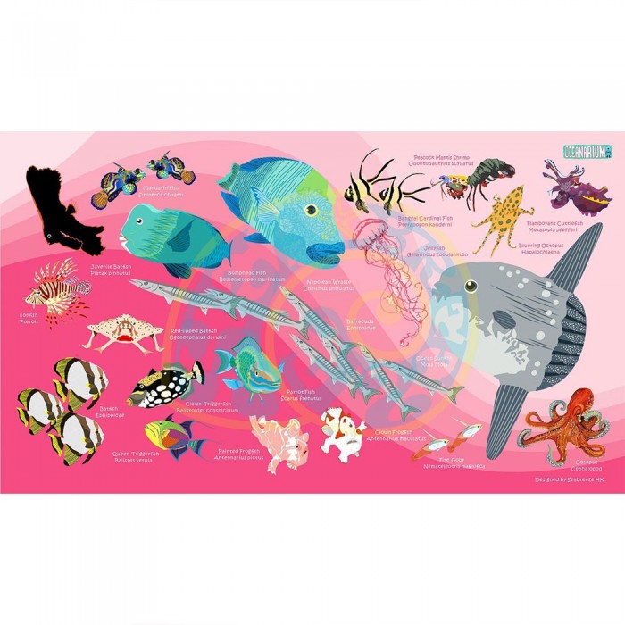 [해외]오셔나리움 수건 Sunfish L 6137681035 Pink / Multicolor