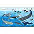 [해외]오셔나리움 Cetaceans L 수건 3137681028 Blue / Multicolor