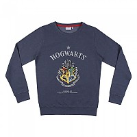 [해외]CERDA GROUP Harry Potter 후드티 138320272 Dark Blue / Dark Blue