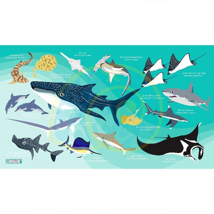 [해외]오셔나리움 수건 Sharks & Rays L 7137681034 Light Blue / Multicolor