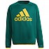 [해외]아디다스 BL 후드티 15138108242 Collegiate Green / Semi Solar Gold