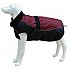 [해외]FREEDOG North Pole Model C 개 자켓 4138366227 Crimson