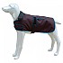 [해외]FREEDOG 개 재킷 North Pole Model D 4138366228 Grey