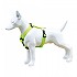 [해외]FREEDOG 하네스 Nylon Neon 4138366637 Green