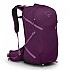 [해외]오스프리 Sportlite 25L 배낭 4138629335 Aubergine Purple