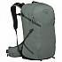 [해외]오스프리 Sportlite 25L 배낭 4138629338 Pine Leaf Green