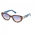 [해외]GUESS GU7849 선글라스 138779937 Blue / Other