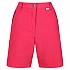 [해외]레가타 Chaska Short II 반바지 4138724024 Rethink Pink