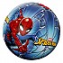 [해외]BESTWAY 비치 볼 Spider-Man 6138995509 Multicolour