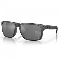 [해외]오클리 Holbrook XL Prizm Sunglasses Polarized 9138995720 Steel