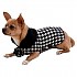 [해외]FREEDOG 개 자켓 Pata De Gallo 4138781332 Black / White