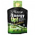 [해외]VICTORY ENDURANCE 에너지 젤 Energy Up 40g 모히또 7138359280 Black